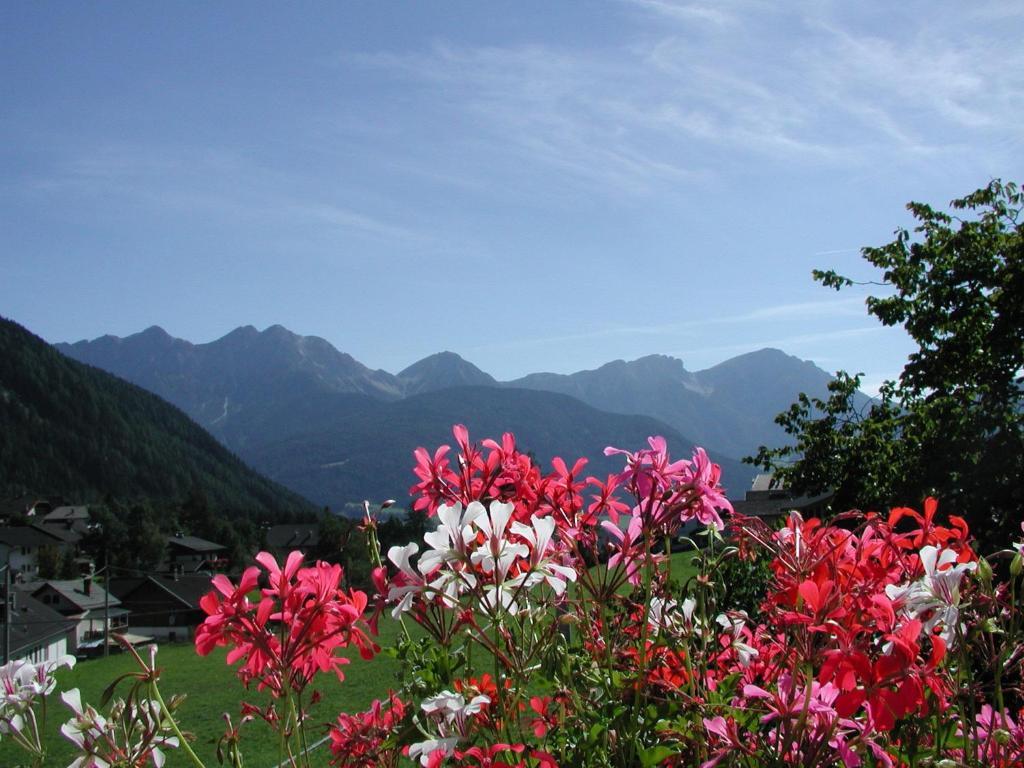 Gasthof Lechner Rasun di Sopra Cameră foto